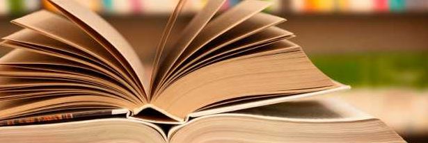 okuma ile ilgili ingilizce essay