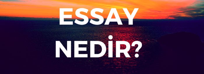 Essay nedir & Essay ne demek