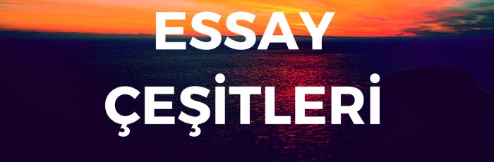 Essay Çeşitleri & Essay Türleri